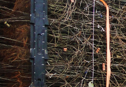 andrzej i szymon nowakowscy