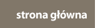 strona główna